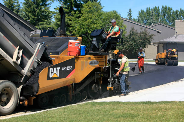 Best Custom Driveway Pavers  in Texarkana, TX